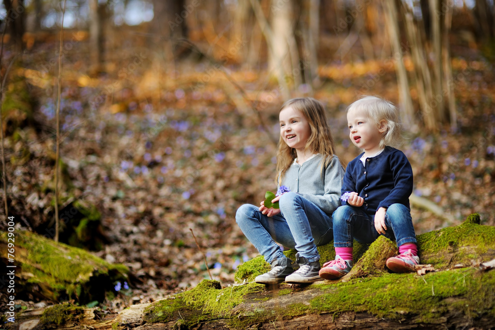 Two sisters picking the first flowers of spring Two sisters picking the first flowers of spring