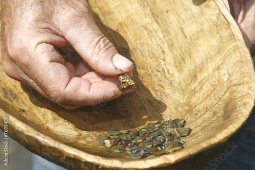 Gold digger river holding nugget in a wooden bowl