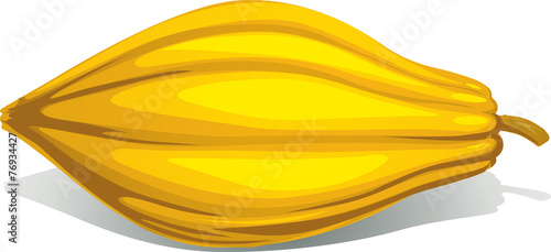 cocoa pod isolated on white background