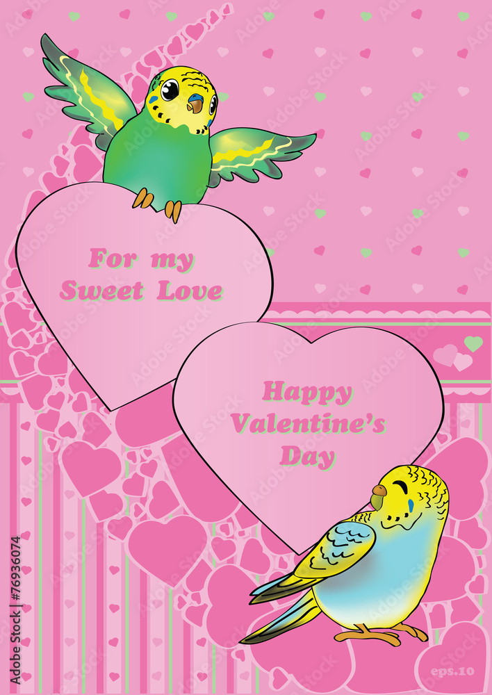Valentine's Budgies. Vector cartoon style birds