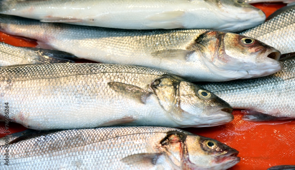 Fresh sea fish Fresh sea fish