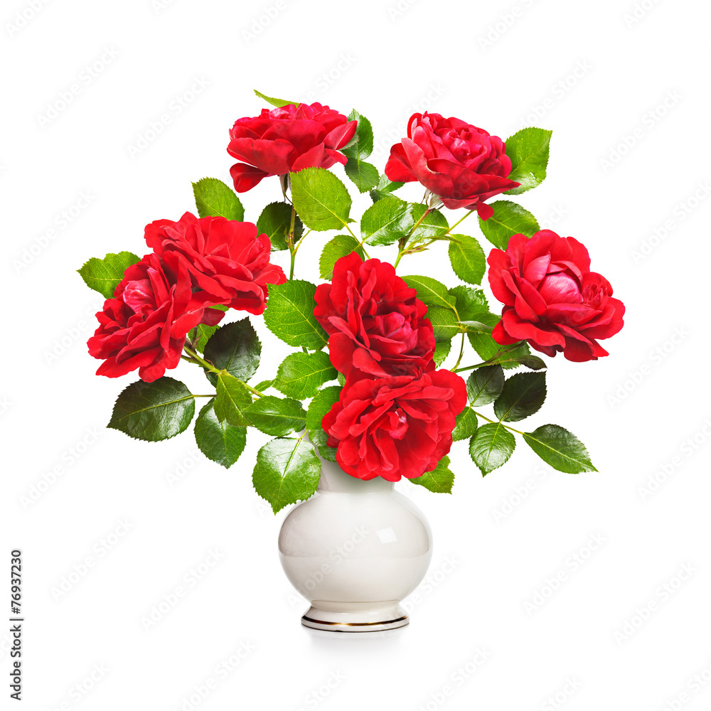 Fototapeta premium Red roses in vase