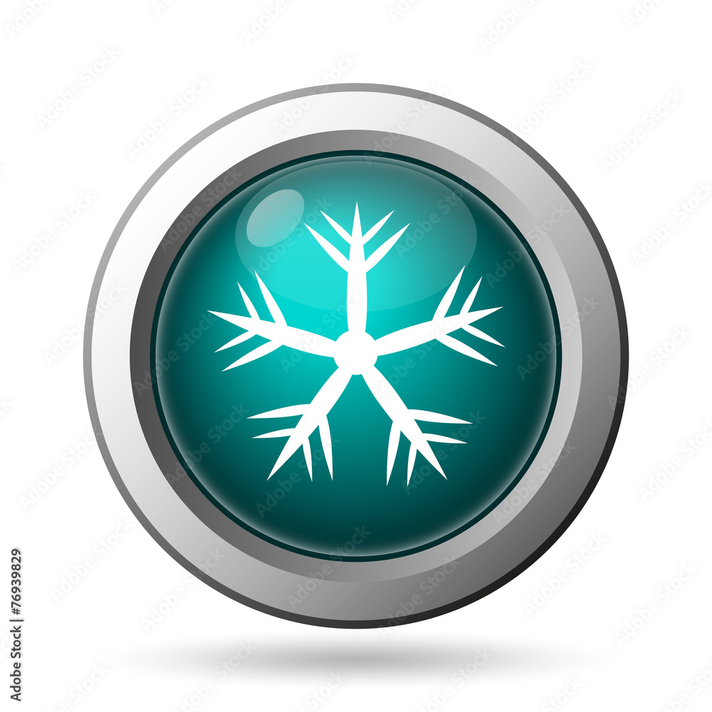Snowflake icon Snowflake icon