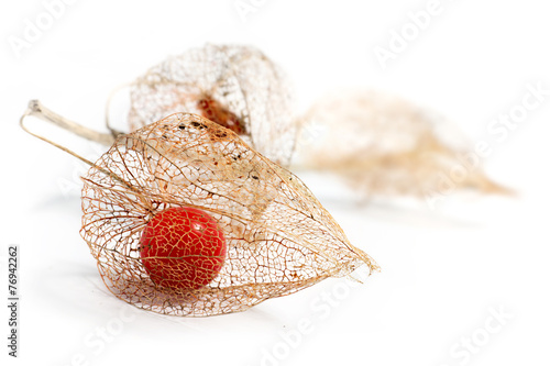 Картината върху платно physalis chinese lantern dried fruits isolated on white backgrou