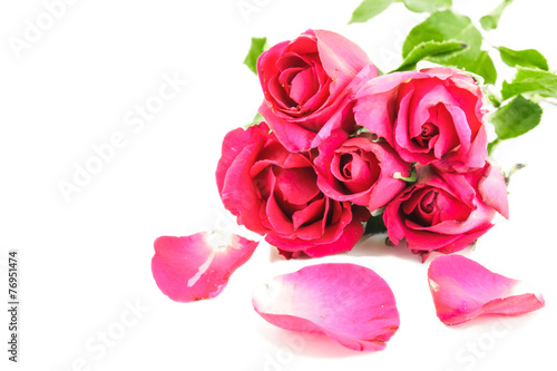 Red roses isolated on a white background.