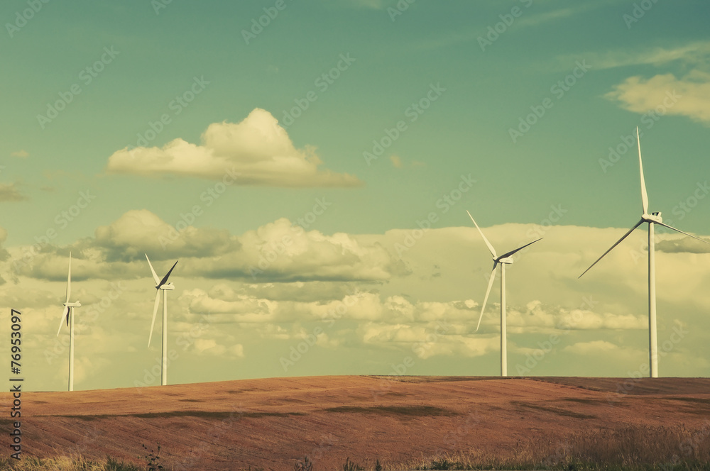Obraz premium Wind Turbines In The Grain Fields