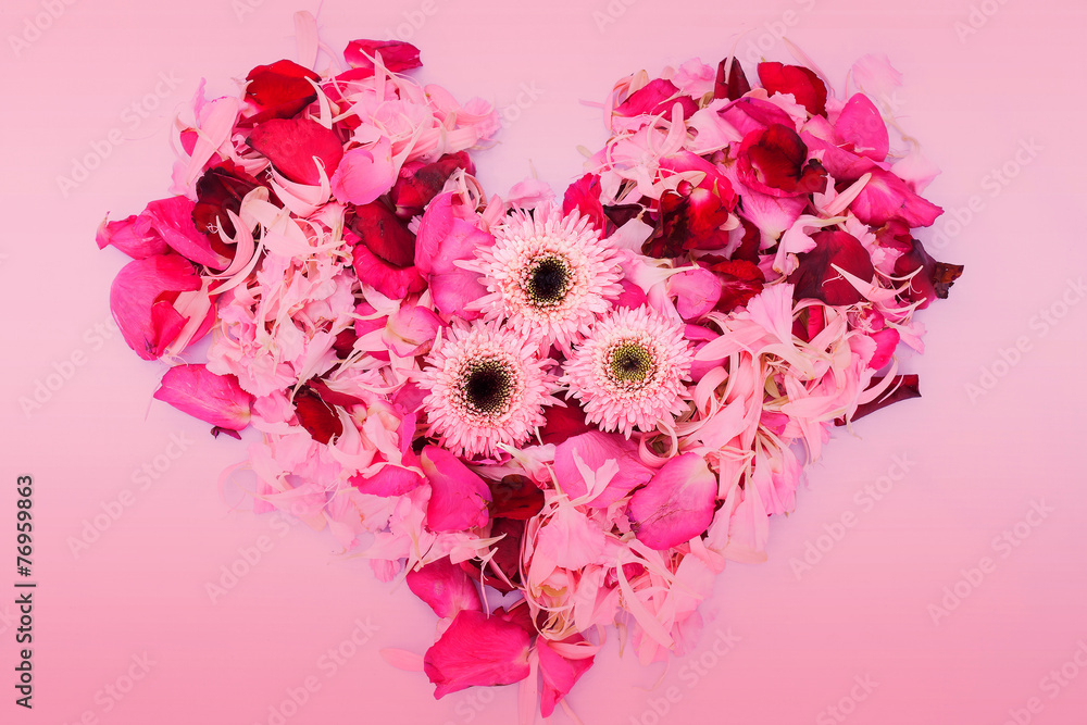 heart petal flower for love on red background heart petal flower for love on red background