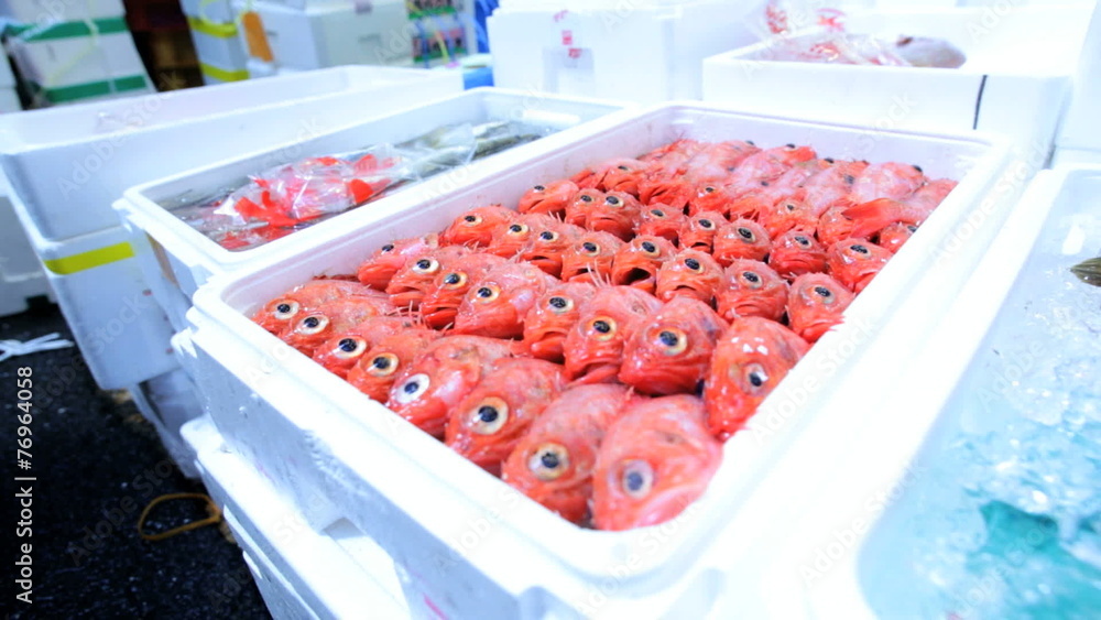 Japanese Fishing Industry Red Fish Tsukiji Retail Fish Market Tokyo Asia Japan Japanese Fishing Industry Red Fish Tsukiji Retail Fish Market Tokyo Asia Japan