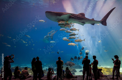 Slika na platnu Interior of Georgia Aquarium with the people