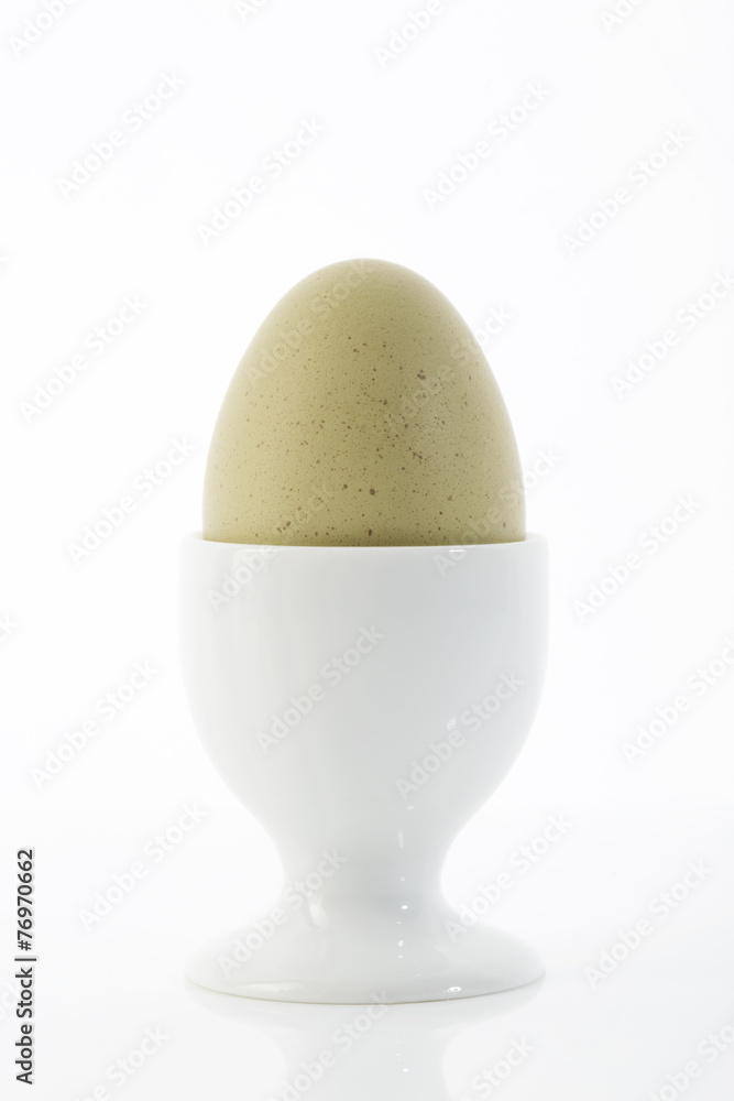 grünes Ei von Araucana Hühnern grünes Ei von Araucana Hühnern
