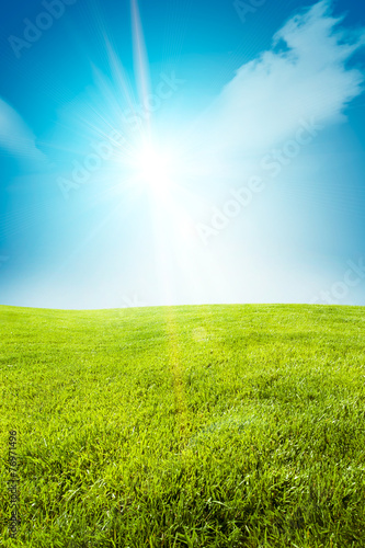 Green field