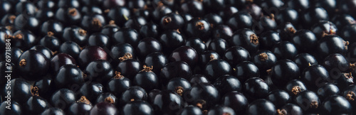 Fresh black currant, berries background