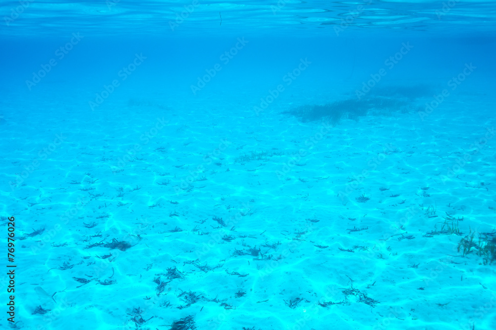 A white sand bottom in clear water