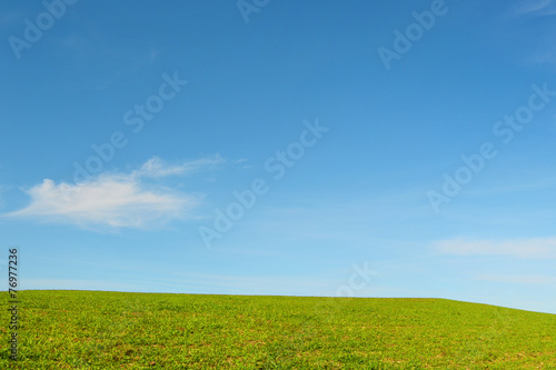 Collina con prato verde e cielo azzurro e nuvole - Terra - photo