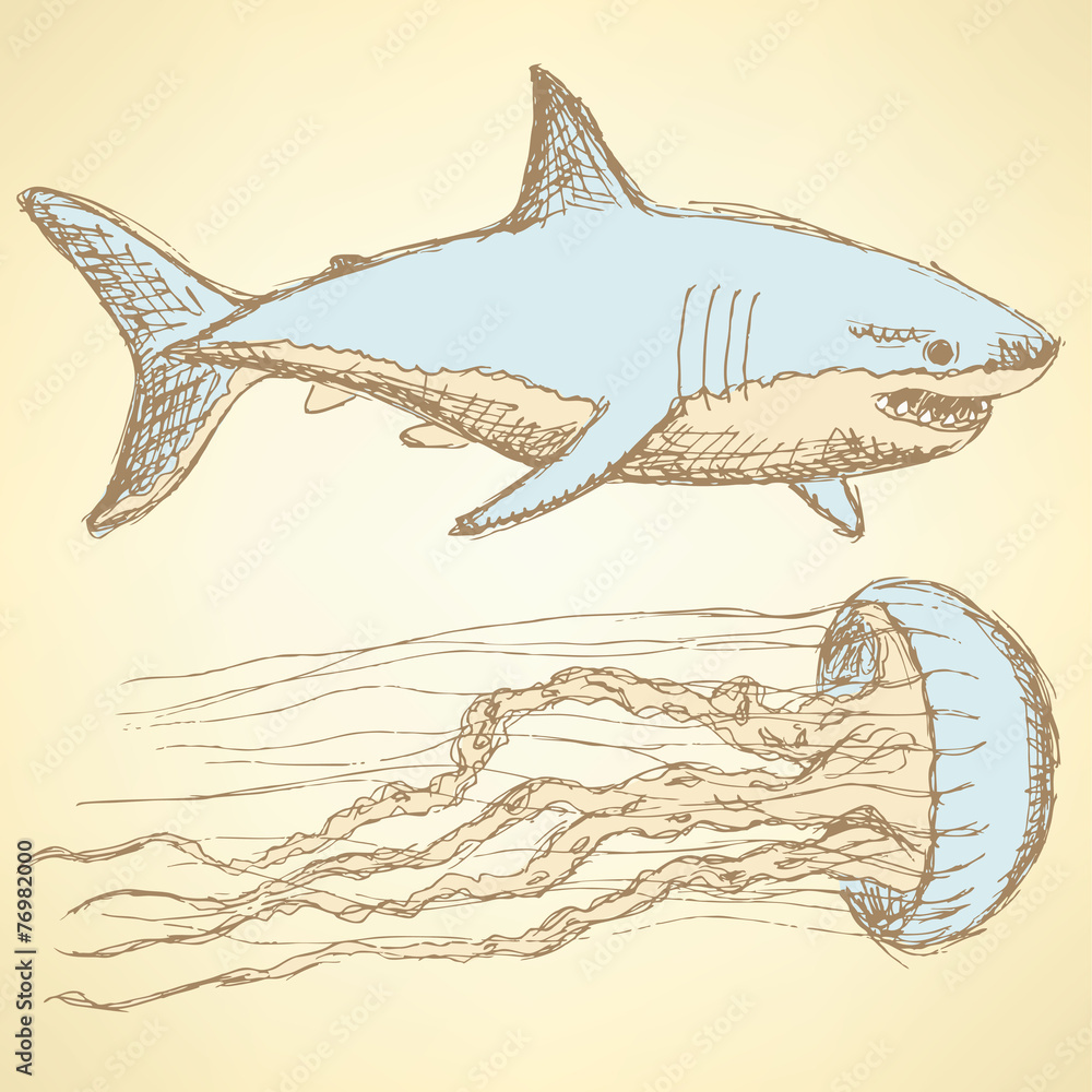 Fototapeta premium Sketch shark and jellyfish in vintage style