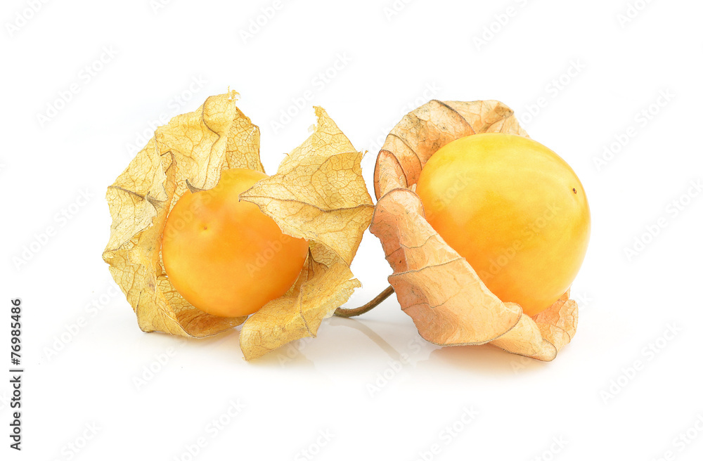 cape gooseberry on white background cape gooseberry on white background