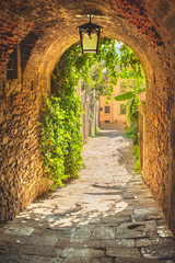 Papier peint photo Le salon Ruelles verdoyantes d'un village toscan médiéval  © Jarek Pawlak