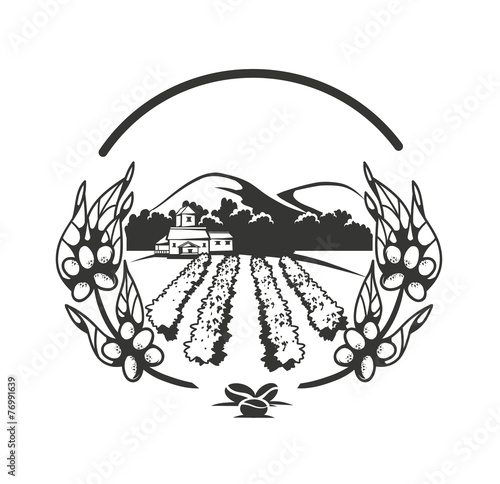 Coffee plantations banner