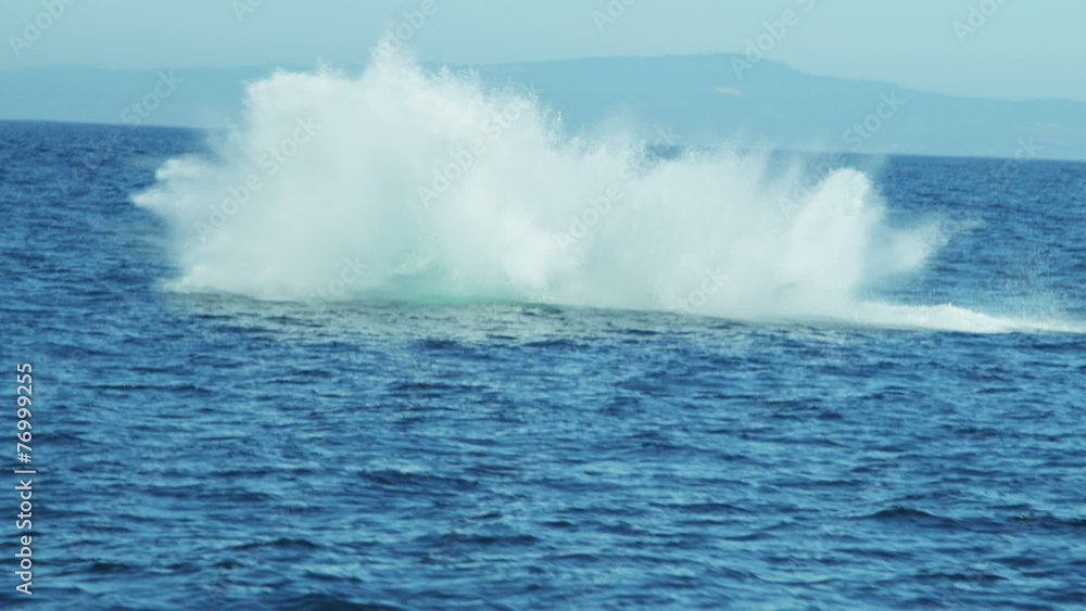 Breaching Humpback whale aquatic mammal, coastal waters Pacific ocean, USA Breaching Humpback whale aquatic mammal, coastal waters Pacific ocean, USA