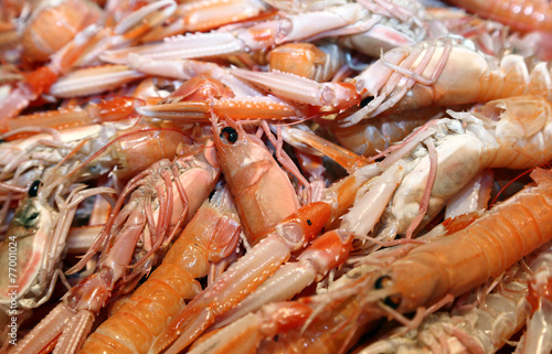 prawns and shrimps for sale in fish market in Italy