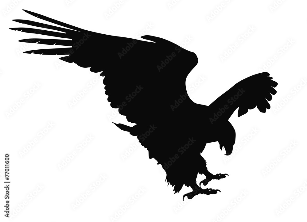 Fototapeta premium Vector eagle hunting