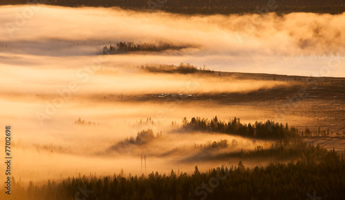 Morgennebel in Finnland © Alexander Erdbeer