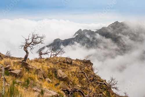 Outlook over a mountain ridge peaking through the clouds.