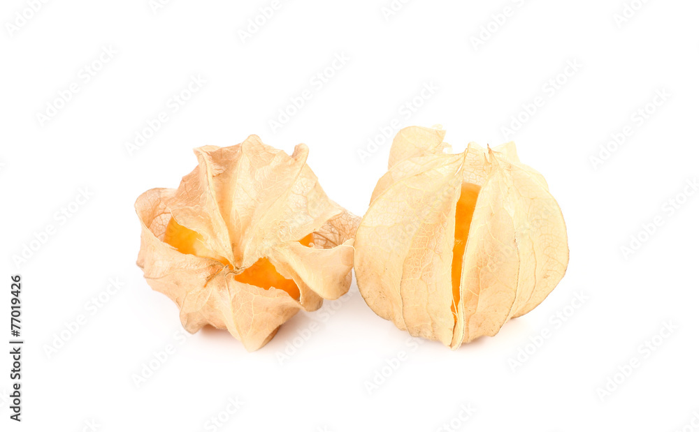 Physalis fruit, Cape berry fruit isolated on white background Physalis fruit, Cape berry fruit isolated on white background