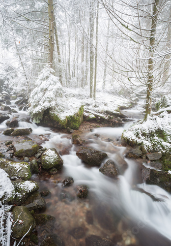 small stream in black forest, Germany