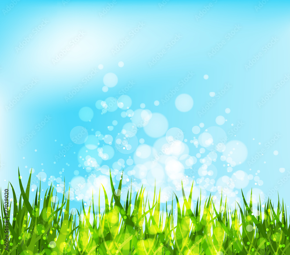 Fototapeta premium spring background