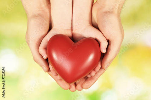 Red heart in family hands on bright background