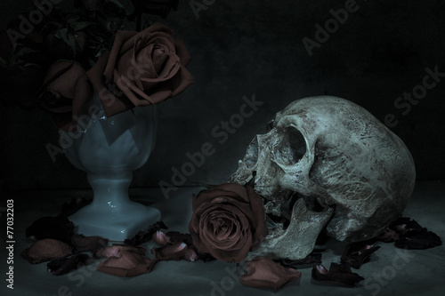 Still life human skull