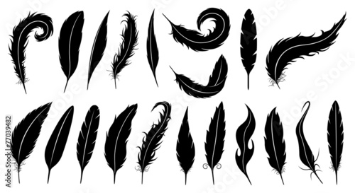 Set of different feathers isolated on white
