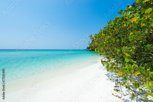 Tropical white sand beach paradise Thailand