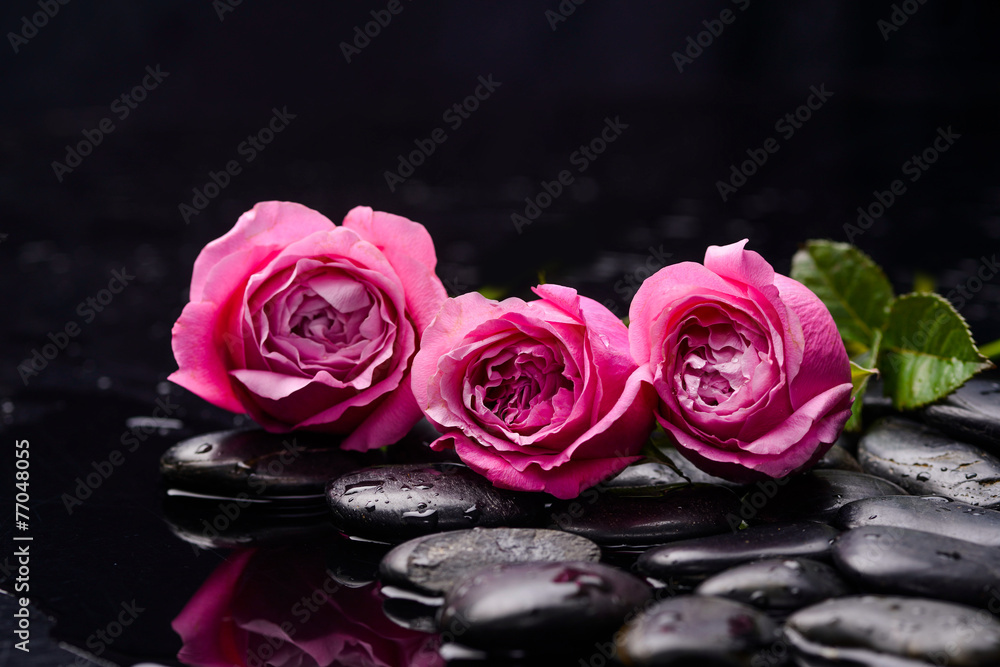 three rose with therapy stones - obrazy, fototapety, plakaty 