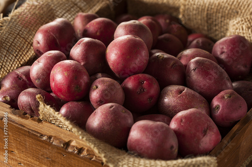 Organic Raw Red Potatoes