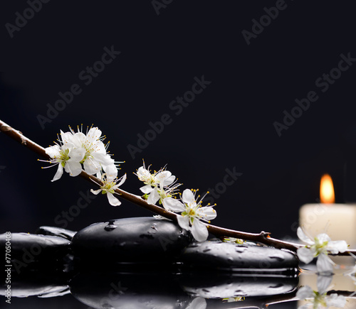 cherry blossom with candle on black stones