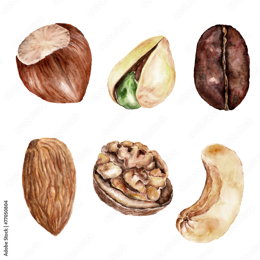 Set with nuts, healthy food. Watercolor illustration Set with nuts, healthy food. Watercolor illustration
