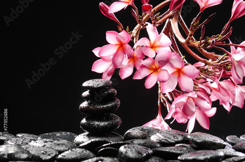 branch of frangipani with stacked black wet stones