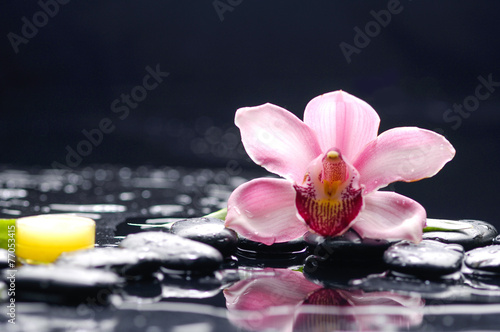 Beautiful pink orchid with candle and therapy stones