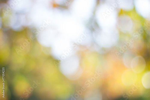 Abstract blur with bokhe of light through the trees