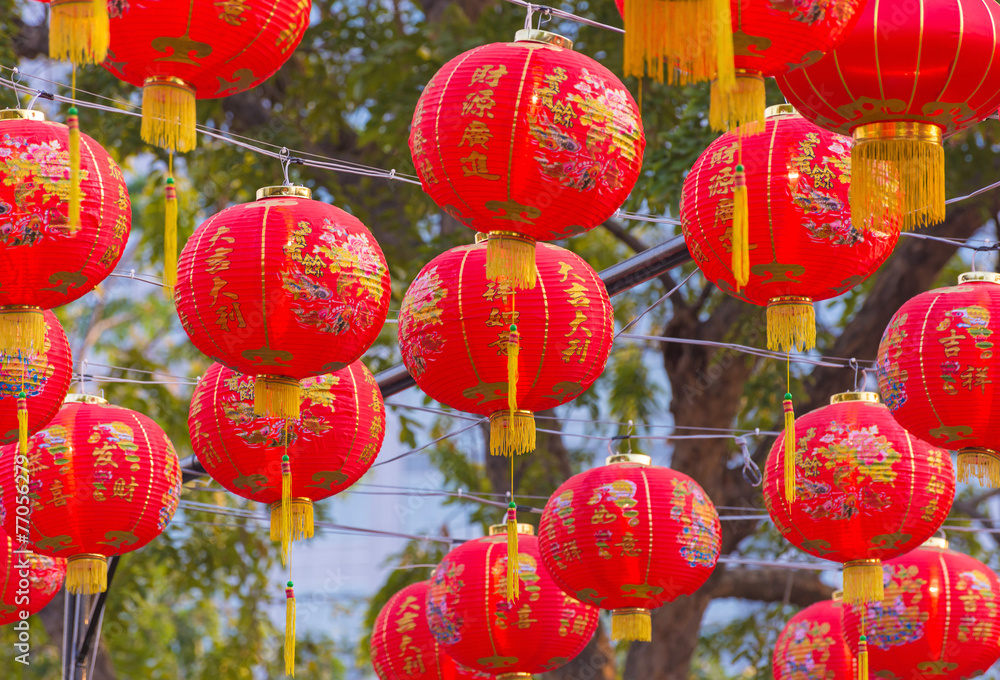 Traditional Chinese lantern hanging on tree in public park