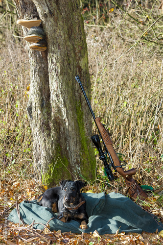 lying hunting dog with a weapon