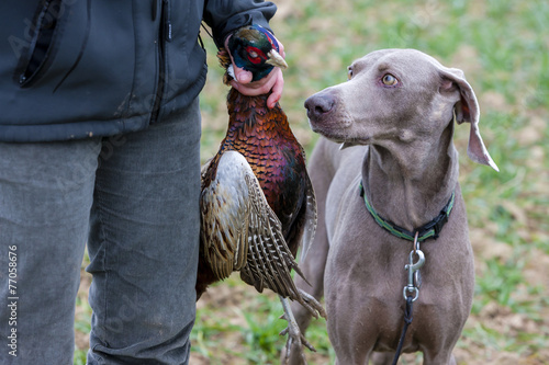 hunter with a dog at hunt
