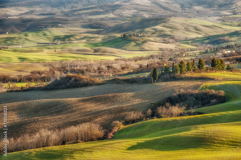 Beautiful Tuscany fields and landscape