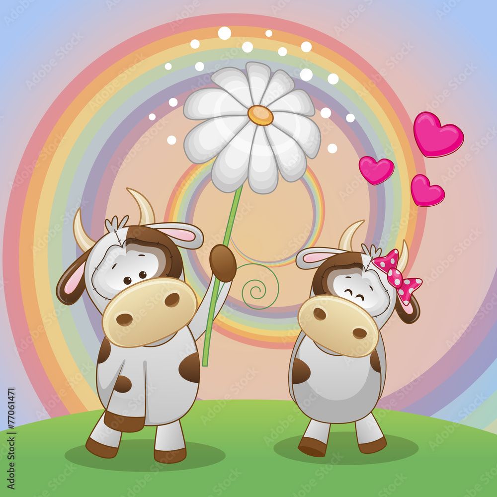 Fototapeta premium Two Cows