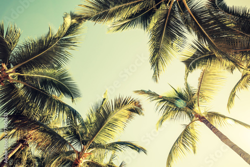 Photo Coconut palm trees and shining sun over bright sky