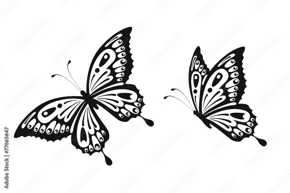 Obraz premium Butterfly decor