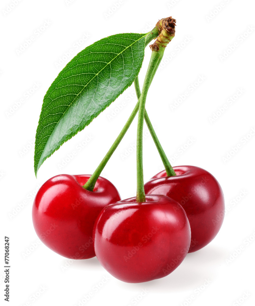 Cherry. Three berries isolated on white background Cherry. Three berries isolated on white background