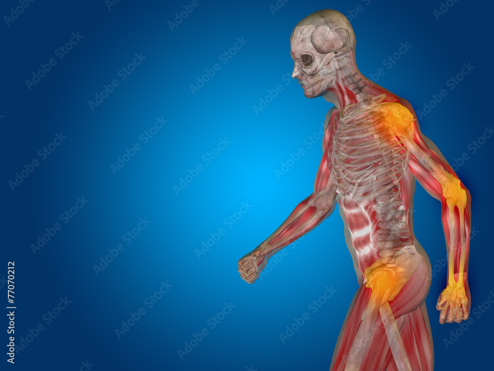 Conceptual human body anatomy pain on blue Conceptual human body anatomy pain on blue